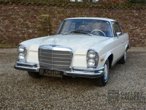 Imagen 17/50 de Mercedes-Benz 280 SE 3,5 (1971)