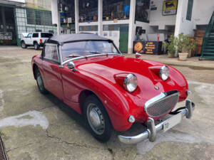 Image 30/51 of Austin-Healey Sprite Mk I (1960)