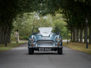 Afbeelding 3/29 van Austin-Healey 3000 Mk III (BJ8) (1965)