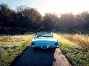 Bild 52/59 von Ford Thunderbird (1957)