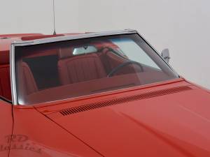 Image 13/42 of Chevrolet Corvette Stingray (1969)