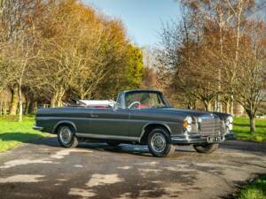 Image 10/50 de Mercedes-Benz 280 SE 3,5 (1971)