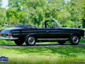 Image 9/52 de Mercedes-Benz 220 SE b (1963)