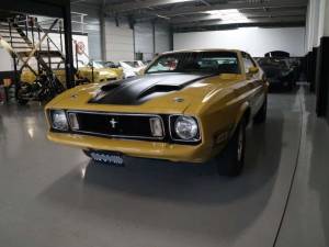 Image 29/50 of Ford Mustang Mach 1 (1973)
