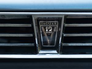 Immagine 13/50 di Jaguar XJS 6.0 V12 (1991)
