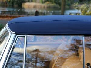 Image 30/50 of Mercedes-Benz 220 SE Cabriolet (1966)