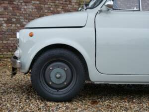 Bild 25/50 von FIAT 500 Coccinella Francis Lombardi (1969)