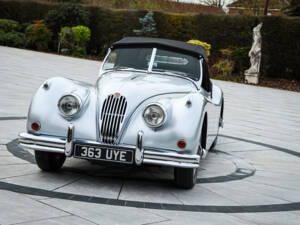 Image 5/13 de Jaguar XK 140 SE OTS (1956)