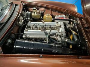 Image 16/45 of Alfa Romeo Spider Veloce 2000 (1981)