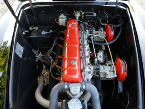 Image 18/50 of Nash-Healey Roadster (1953)