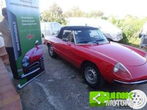 Bild 6/10 von Alfa Romeo 2000 Spider Veloce (1980)