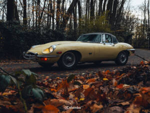 Image 5/29 de Jaguar E-Type (1969)