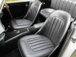 Immagine 13/17 di Austin-Healey 3000 Mk I (BT7) (1960)