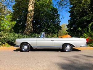 Bild 13/50 von Mercedes-Benz 220 SE b (1963)