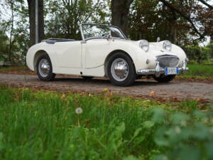 Imagen 7/25 de Austin-Healey Sprite Mk I (1959)