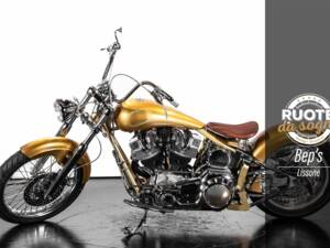 Image 2/38 de Harley-Davidson DUMMY (2009)