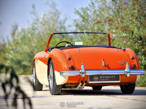 Immagine 35/40 di Austin-Healey 3000 Mk I (BN7) (1959)