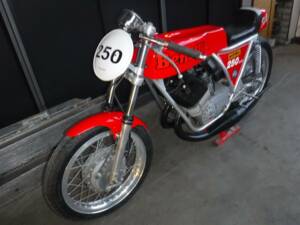 Immagine 21/25 di Benelli DUMMY (1968)