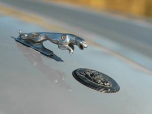 Imagen 9/41 de Jaguar XJ-S 3.6 (1990)