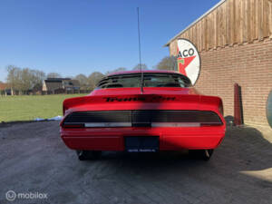 Image 37/50 of Pontiac Firebird TransAm (1982)