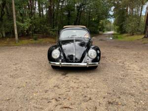 Image 6/26 of Volkswagen Beetle 1200 Standard &quot;Oval&quot; (1954)