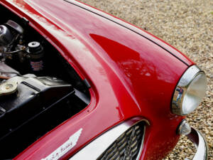 Bild 27/50 von Austin-Healey 3000 Mk I (BT7) (1961)