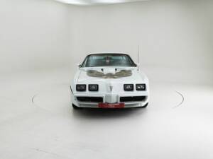 Bild 5/15 von Pontiac Firebird Turbo TransAm (1981)