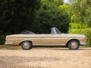 Bild 5/50 von Mercedes-Benz 250 SE (1966)