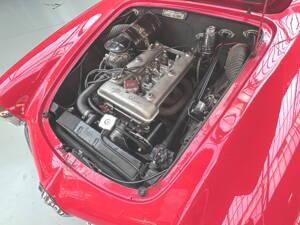 Image 20/35 of Alfa Romeo Giulietta Spider (1960)