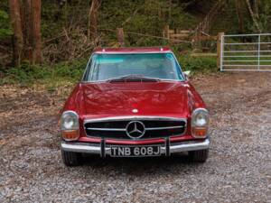 Image 23/50 of Mercedes-Benz 280 SL (1971)