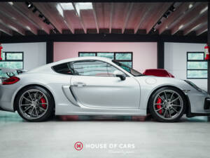 Immagine 5/24 di Porsche Cayman GT4 (2016)