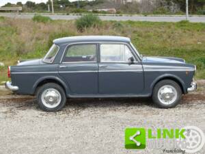 Afbeelding 7/10 van FIAT 1100 D (1965)