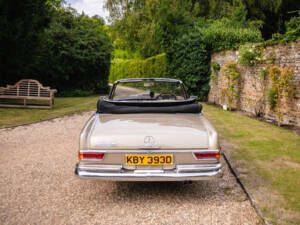 Image 22/50 of Mercedes-Benz 250 SE (1966)