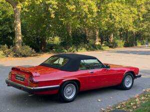 Immagine 7/50 di Jaguar XJ-S Convertible (1988)