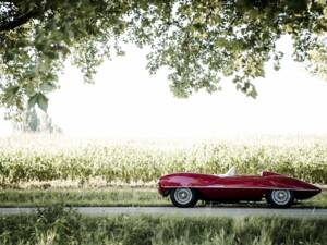 Bild 3/14 von Alfa Romeo Disco Volante (1954)