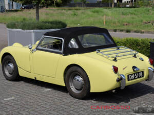 Immagine 34/44 di Austin-Healey Sprite Mk I (1959)