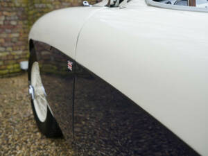 Image 50/50 of Austin-Healey 100&#x2F;4 (BN1) (1955)