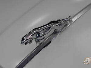 Image 22/22 of Jaguar XJ 12 (1986)