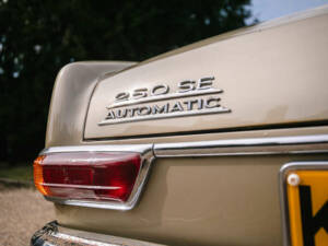 Image 44/50 de Mercedes-Benz 250 SE (1966)