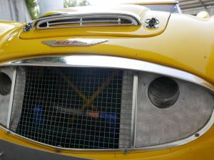 Immagine 7/52 di Austin-Healey 3000 Mk I (BN7) (1959)