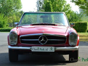 Image 19/50 of Mercedes-Benz 230 SL (1964)