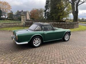 Immagine 37/45 di Triumph TR 4 (1964)