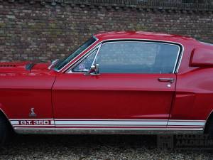 Image 16/50 of Ford Shelby GT 350 (1968)