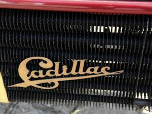 Bild 26/50 von Cadillac Model B Surrey (1904)