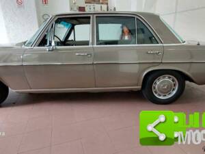 Bild 5/10 von Mercedes-Benz 280 SE (1970)