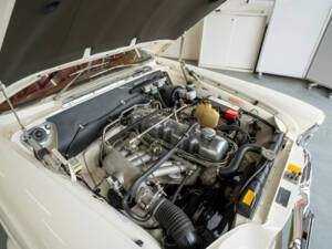 Image 11/37 of Mercedes-Benz 250 SE (1966)