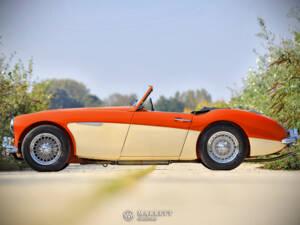 Immagine 3/40 di Austin-Healey 3000 Mk I (BN7) (1959)