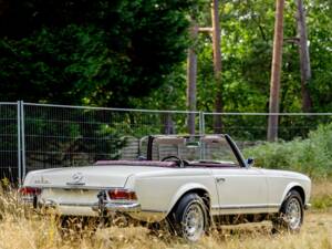 Imagen 20/46 de Mercedes-Benz 250 SL (1967)