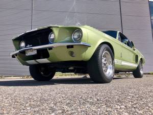 Image 6/50 of Ford Shelby GT 500 (1967)