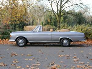 Image 5/50 of Mercedes-Benz 220 SE Cabriolet (1966)